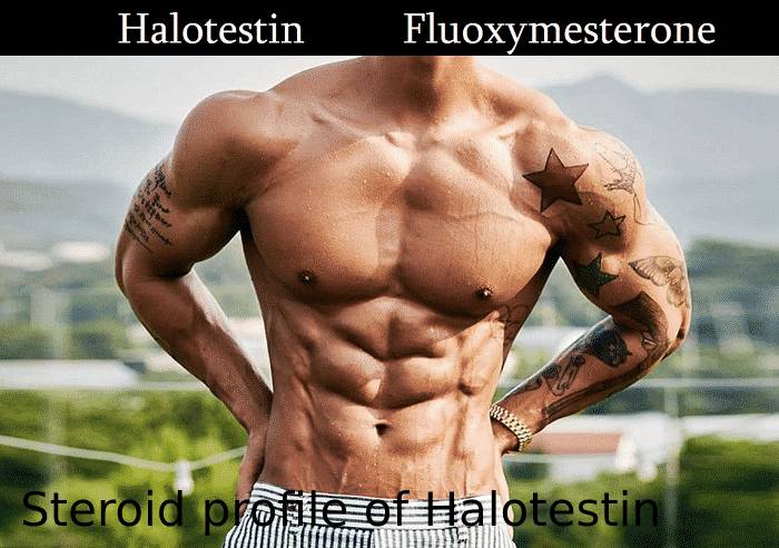 Steroid profile of Halotestin 