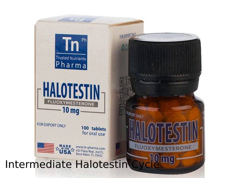 Intermediate Halotestin Cycle
